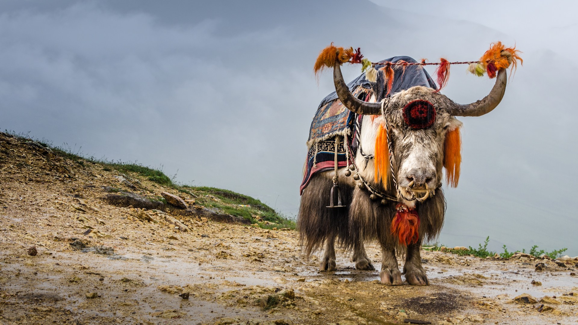 Lhasa -EBC-Kailash-Guge Tour